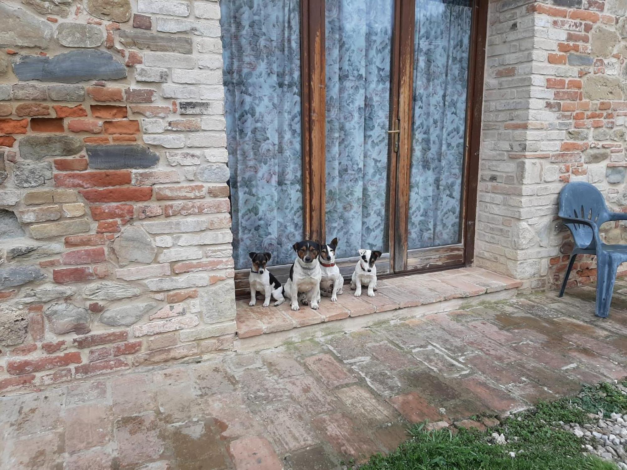 Agriturismo Antica Corte Montatteglia Zewnętrze zdjęcie